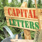 Capital Letters - Vinyard