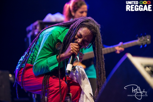 Sunrise Reggae and Ska Festival 2014 © Claudia Steinle