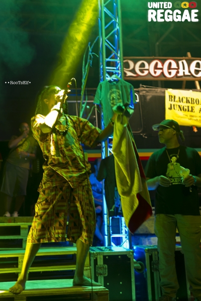 ReggaeBus Festival 2015 © Roots Elf
