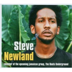Steve Newland - Steve Newland
