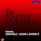 Various Artists - The Positive Vibration