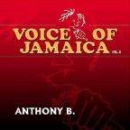 Anthony B - Voice Of Jamaica Vol. 2
