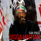 Bigga Haitians 'Sak Pasé' Released on CD